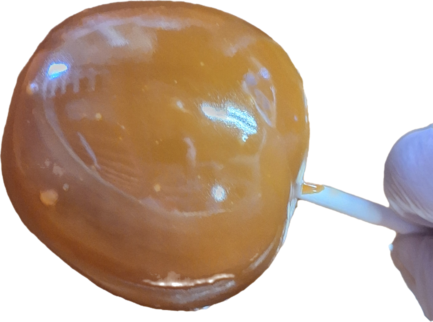 Bulk Caramel Block Loaf, 5 Pound, for Commercial Candy Making